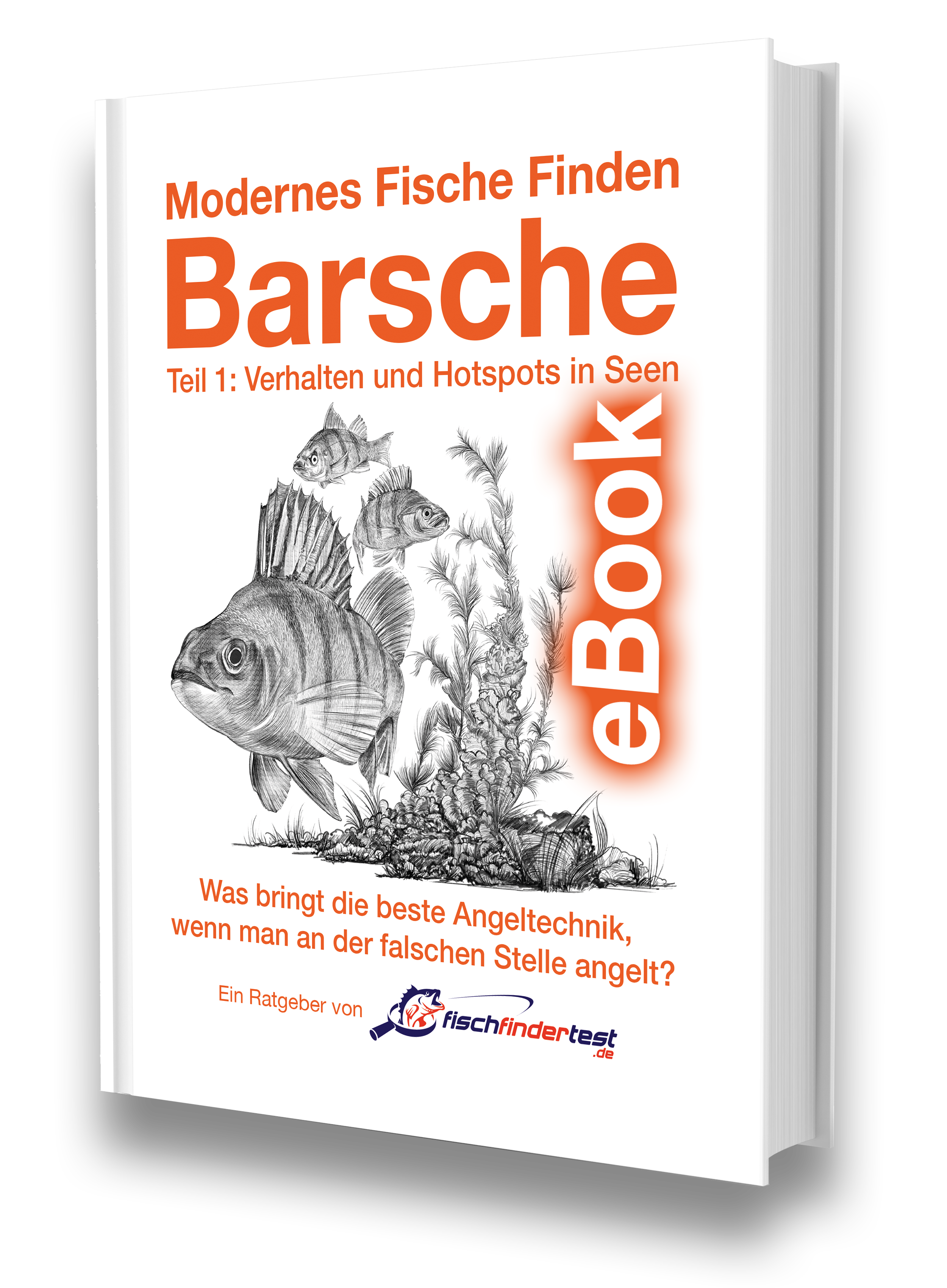 Cover of the German perch book