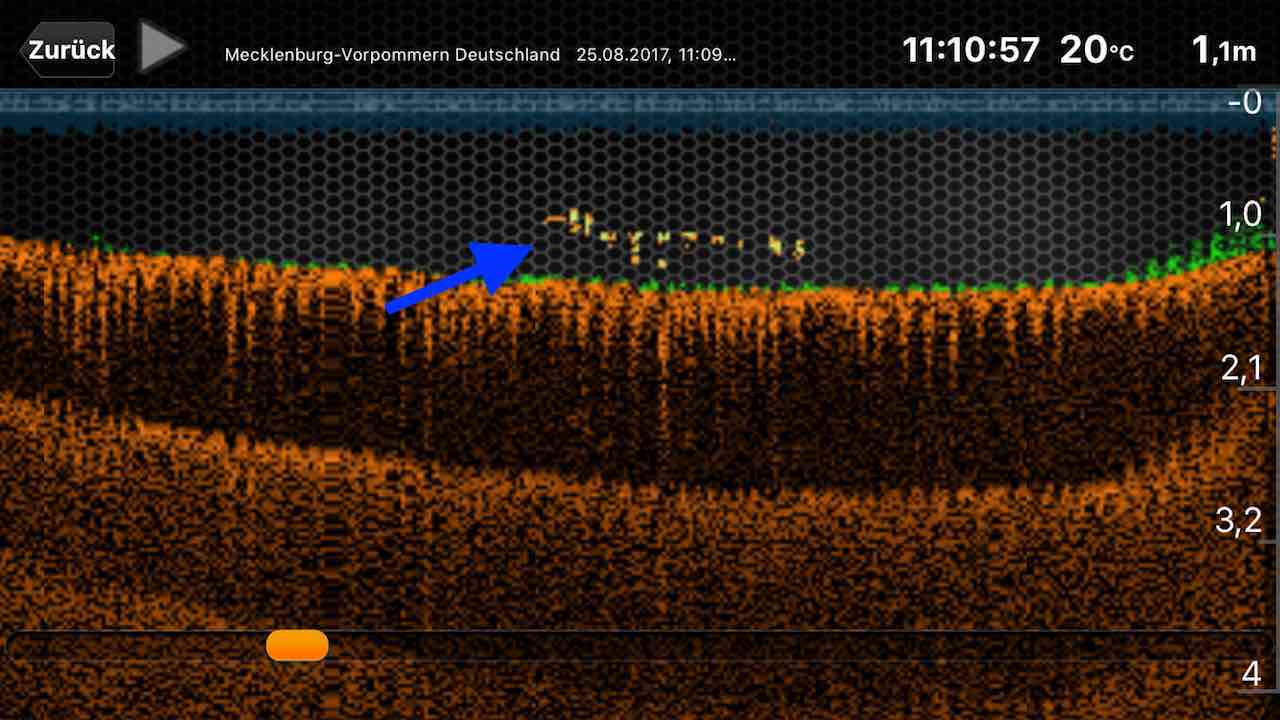 Deeper sonar image showing underwater structure