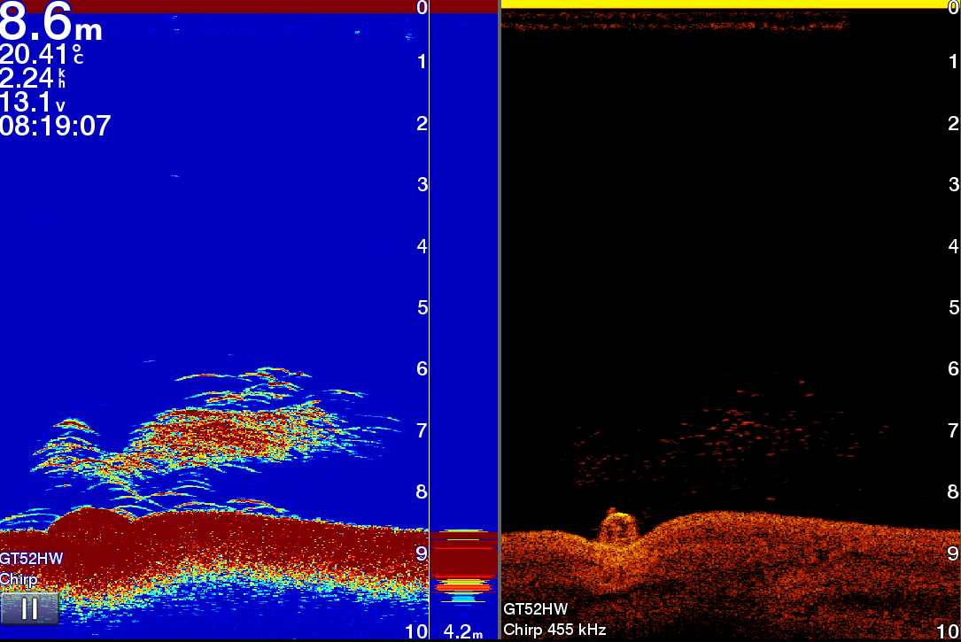 DownScan and SideScan sonar images of an underwater structure