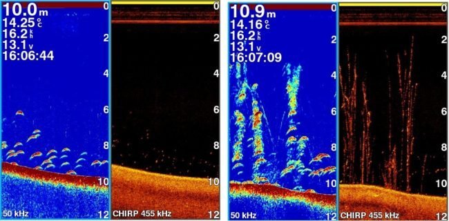 Interpreting photo-like fish finder images