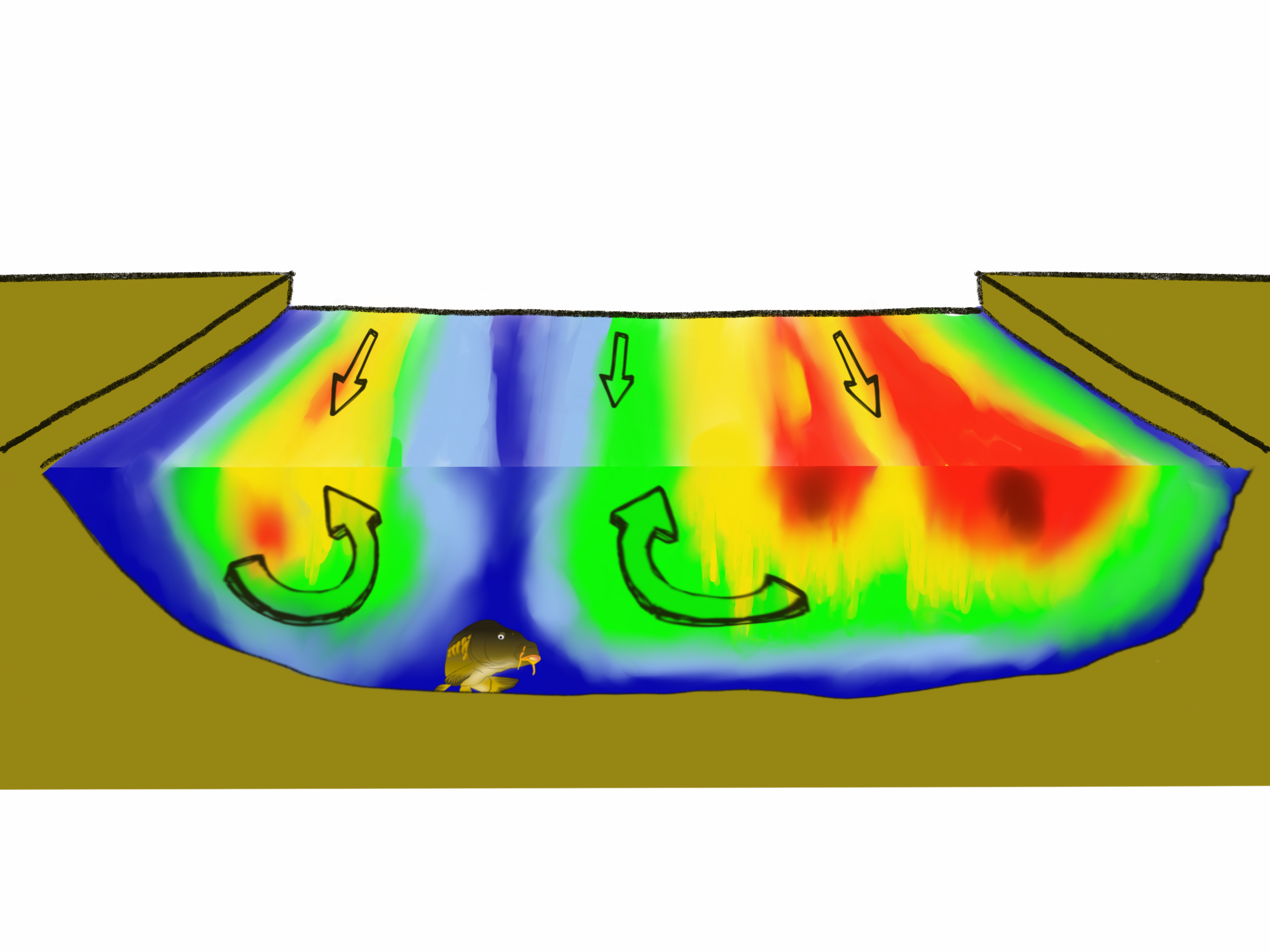 Canal cross-section showing surface movement and return currents near the bottom