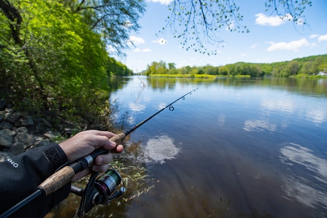 Pike fishing along a current seam in a river