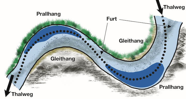 Sections of a river with different current zones
