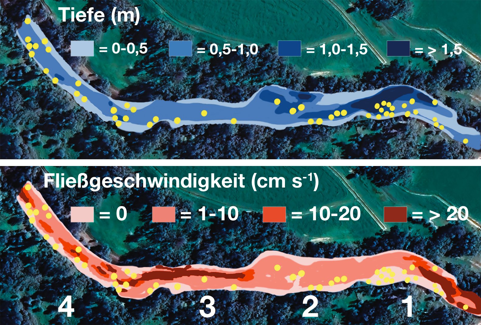 Carp locations in the Broken River with depth and current speed