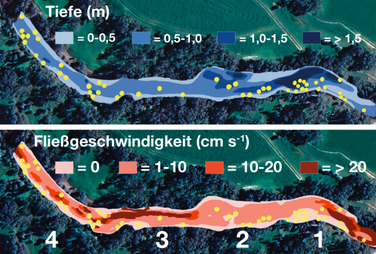 Water structure with distinct depth and current zones
