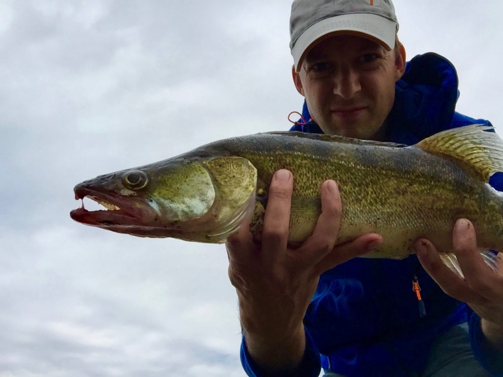 Martin Jacobs fishing for zander on the Elbe in spring