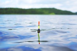 Float rig for zander fishing, from the existing deadbait article