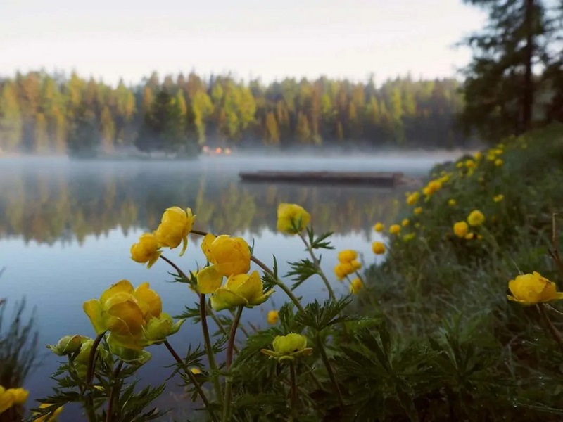 Spring morning at a lake, from the previous spring zander article